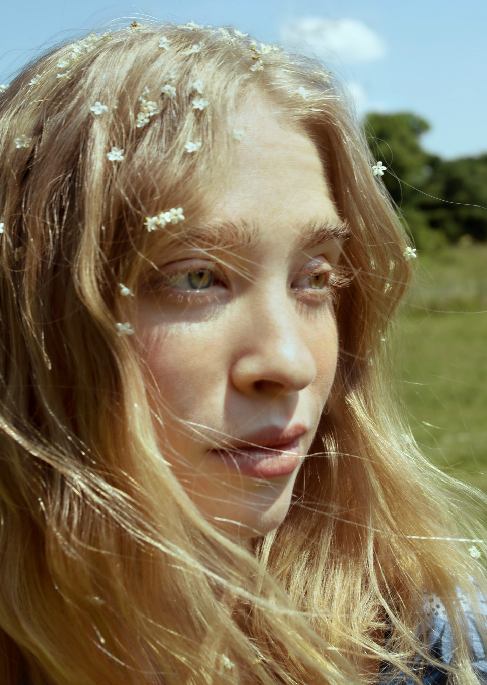 SASHA Masloff