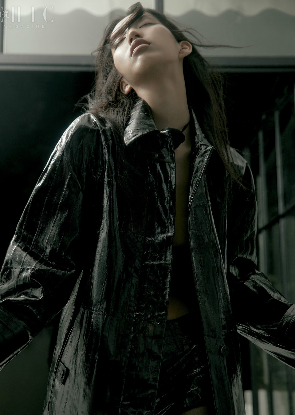 FANSHU XU