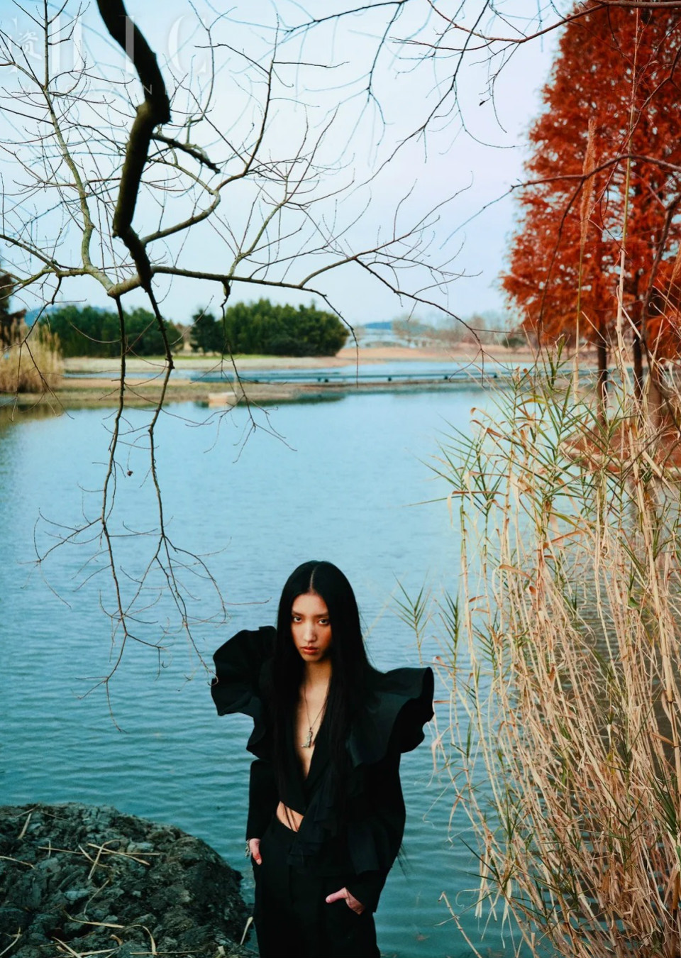 FANSHU XU