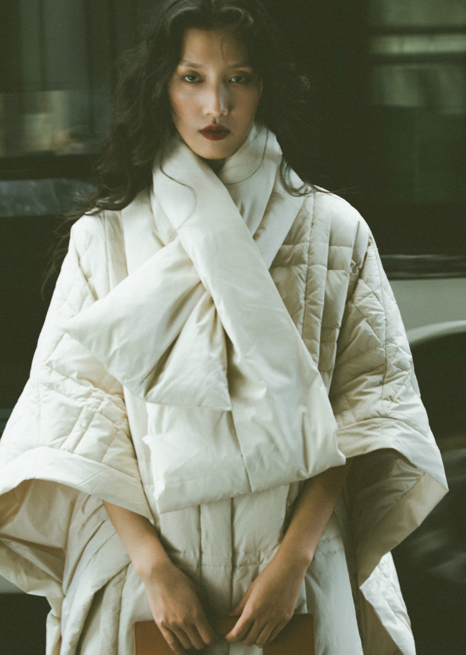 FANSHU XU