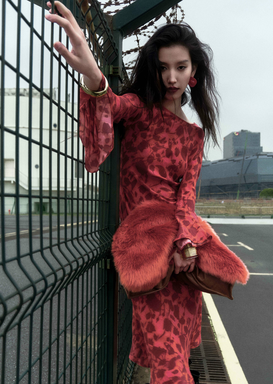 FANSHU XU
